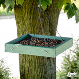 Lyric Cardinal Sunflower Seeds Wild Bird Food 3.75 lb