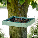 Lyric Cardinal Sunflower Seeds Wild Bird Food 3.75 lb