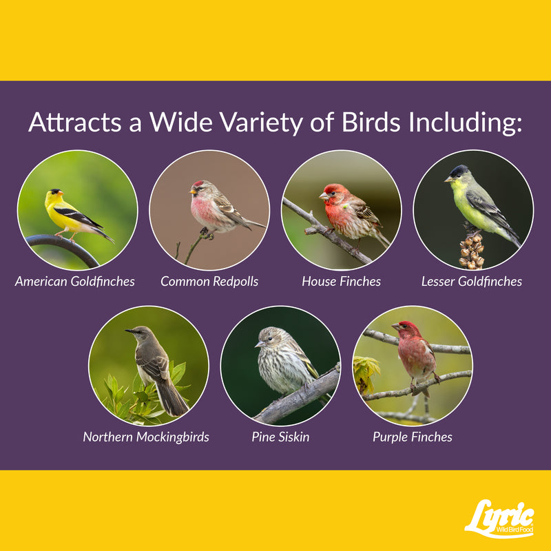 Lyric Finch Canary Grass Seed Wild Bird Food 20 lb