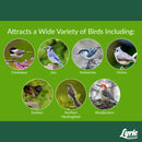 Lyric Woodpecker Fruits and Nuts Wild Bird Food 20 lb
