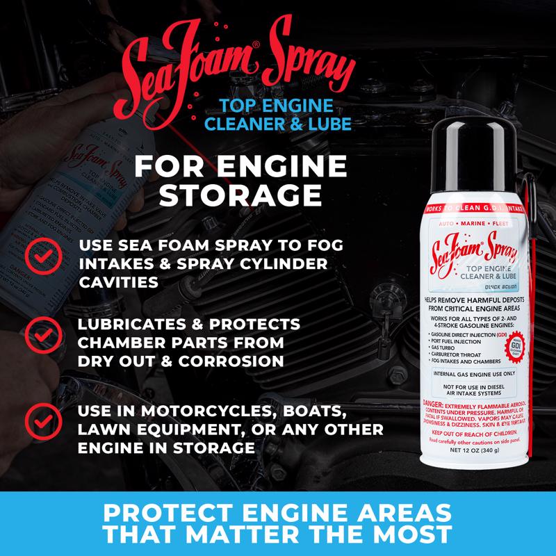 Sea Foam Gasoline/2 and 4 Cycle Engine Lubricant Cleaner 12 oz