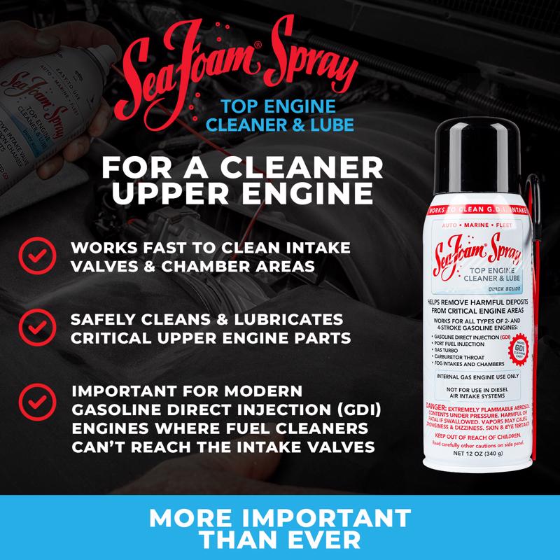Sea Foam Gasoline/2 and 4 Cycle Engine Lubricant Cleaner 12 oz