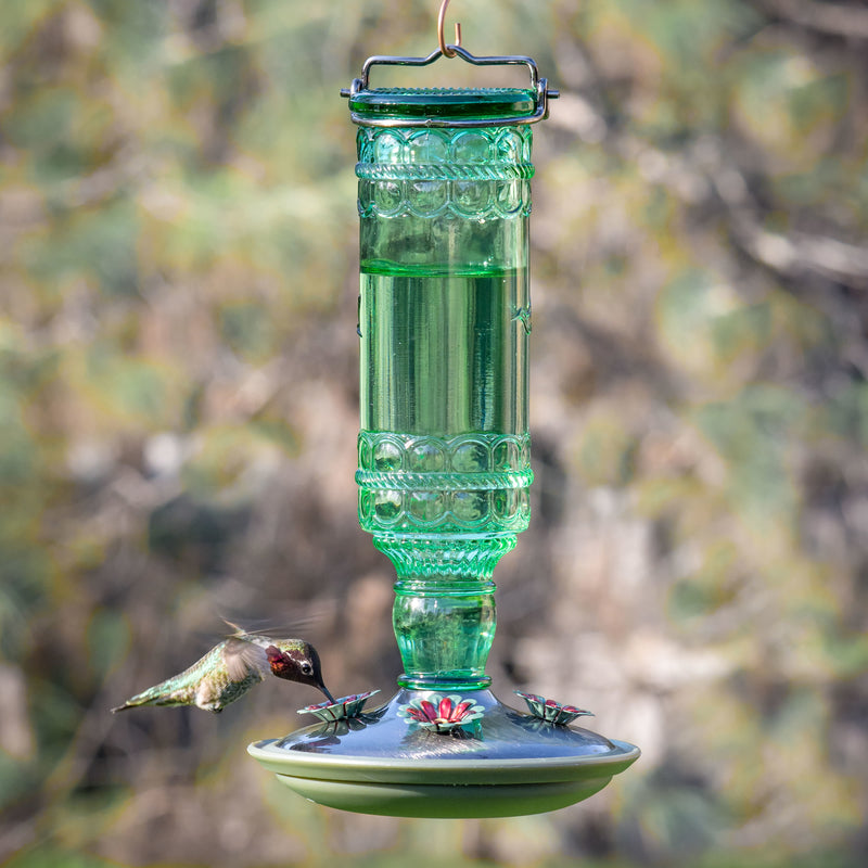Perky-Pet Hummingbird 10 oz Glass/Metal Nectar Feeder 4 ports