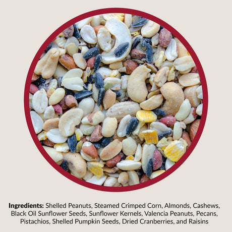 Lyric Assorted Species Fruits and Nuts Wild Bird Food 20 lb