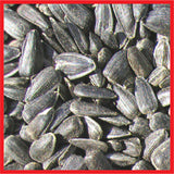 Cole's Assorted Species Black Oil Sunflower Wild Bird Food 8 lb