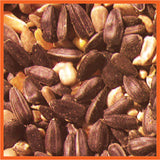 Cole's Blazing Hot Blend Assorted Species Black Oil Sunflower Wild Bird Food 10 lb