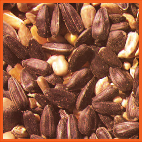 Cole's Blazing Hot Blend Assorted Species Black Oil Sunflower Wild Bird Food 20 lb