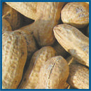 Cole's Assorted Species Whole Peanuts Wild Bird Food 2.5 lb