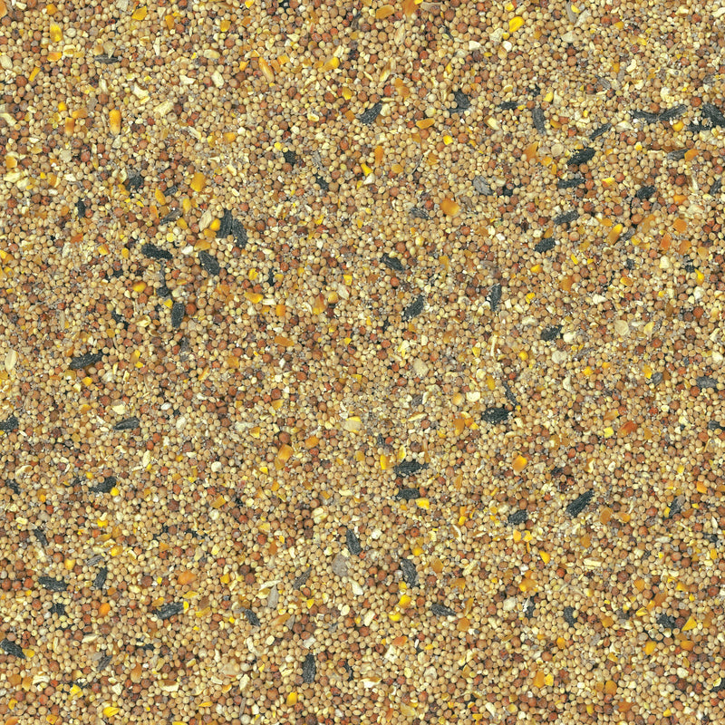 Ace Premium Songbird Grains Wild Bird Food 40 lb