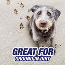 Resolve Pet High Traffic Carpet Cleaner 22 oz Foam