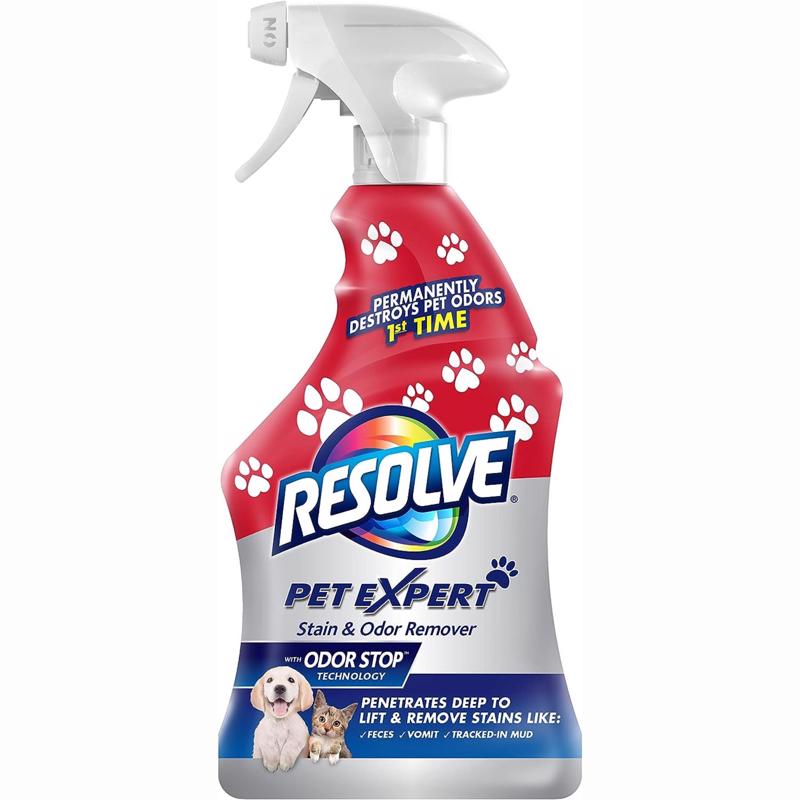 RUG CLEANR PET 22OZ