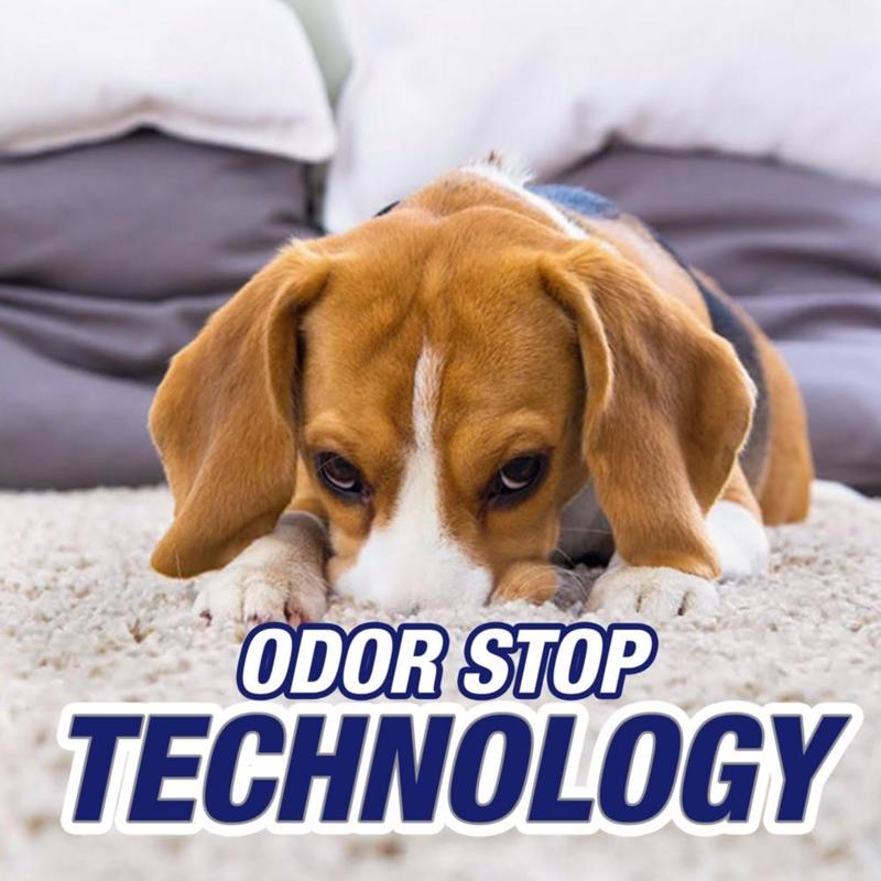 Resolve Pet Oxi Advanced No Scent Carpet Cleaner 22 oz Liquid