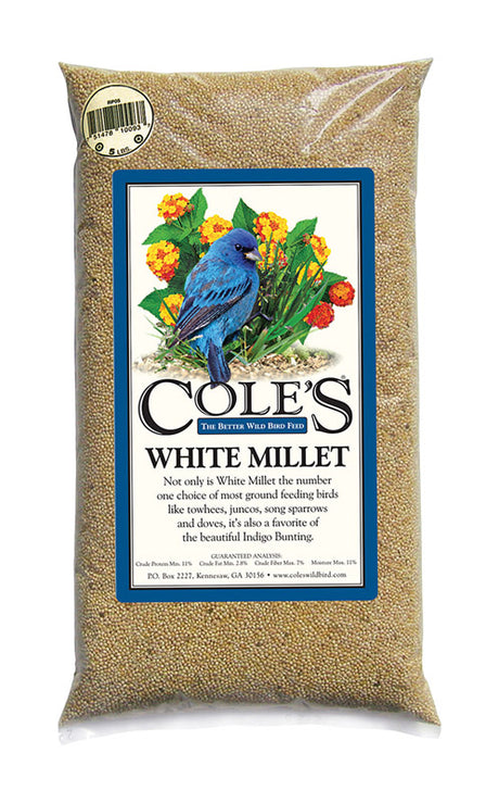 COLE'S MILLET 20LB