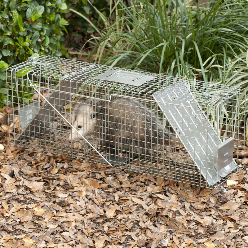 Havahart Large Live Catch Cage Trap For Raccoons 1 pk