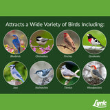 Lyric Fine Tunes Assorted Species Peanut Pieces Wild Bird Food 5 lb