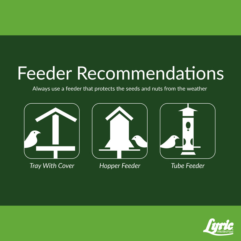 Lyric Fine Tunes Assorted Species Peanut Pieces Wild Bird Food 15 lb