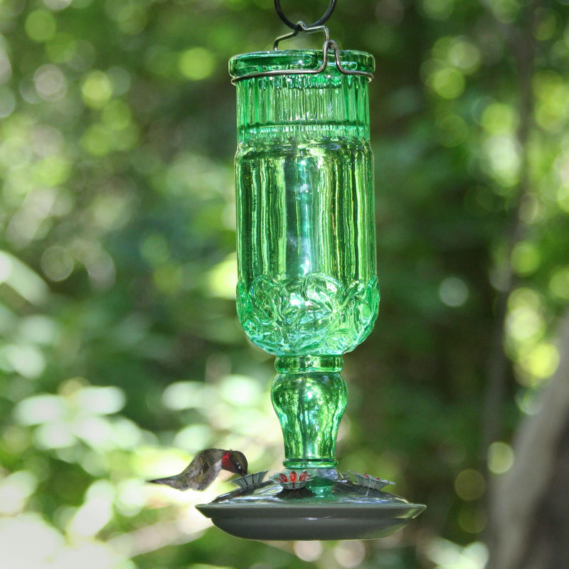 Perky-Pet Hummingbird 24 oz Glass/Metal Nectar Feeder 4 ports