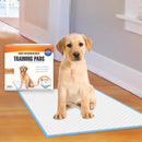 Four Paws No Worries Plastic Training Pads 100 pk