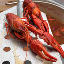 Bayou Classic 367000 BTU Welded Steel Frame Double Jet Outdoor Cooker