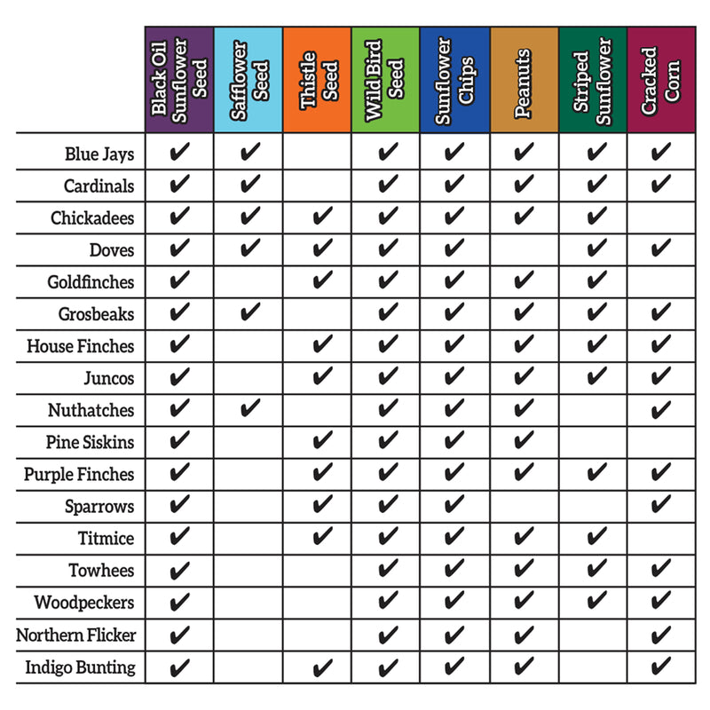 Ace Songbird Safflower Seeds Wild Bird Food 10 lb