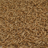 Kaytee Songbird Dried Mealworm Mealworms 17.6 oz