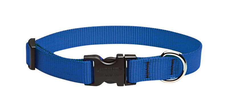 DOG COLLAR 13-22"ADJ BLU