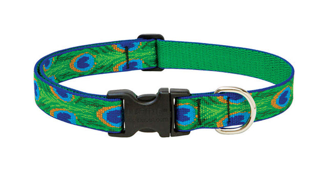 DOG COLLAR 12-20ADJ TLFR