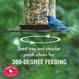Perky-Pet Wild Bird 2 lb Metal/Plastic Panorama Bird Feeder 1 ports