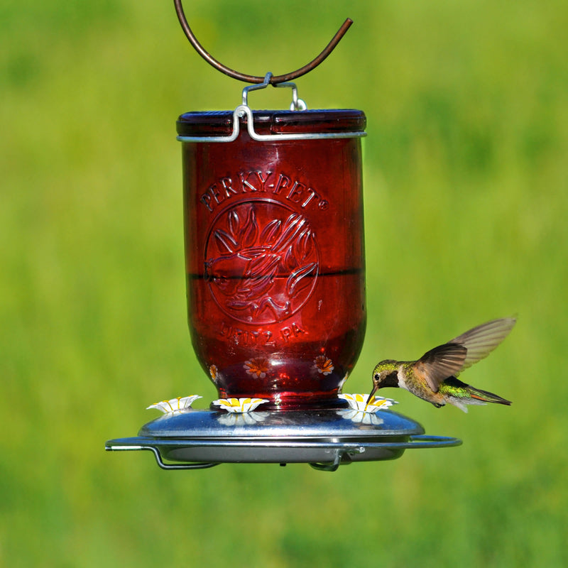 Perky-Pet Hummingbird 32 oz Glass/Metal Mason Jar Nectar Feeder 5 ports