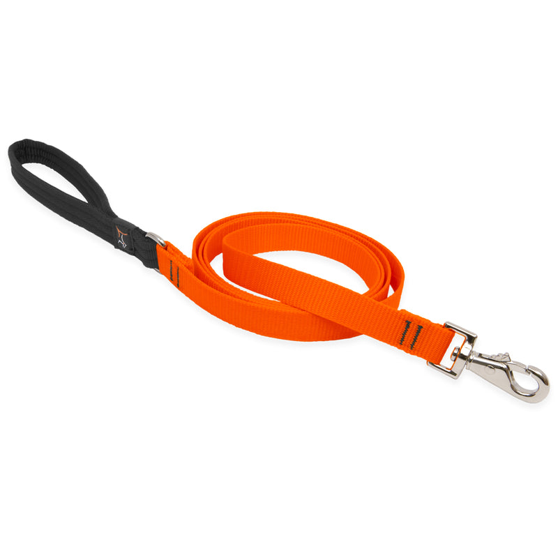 LupinePet Basic Solids Blaze Orange Blaze Orange Nylon Dog Leash