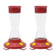 Pinch Waist Glass Hummingbird Feeder, 16 oz, 4 Flower Ports with Perches, Removable Bee Guards & Ant Moat, Easy Clean Feeder, Red, Pack of 2