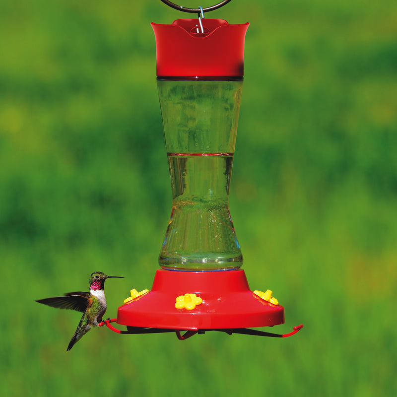 Perky-Pet Hummingbird 16 oz Glass/Plastic Pinch Waist Nectar Feeder 4 ports
