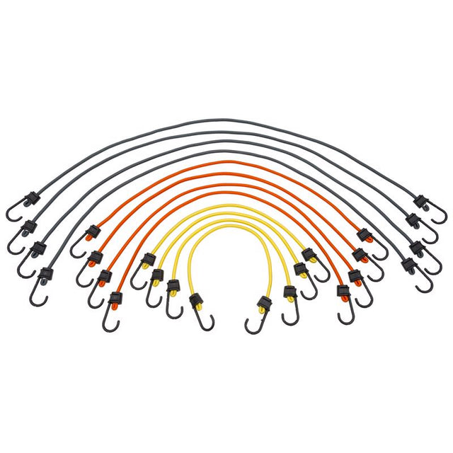 BUNGEE CORD ASSRTED 12PK