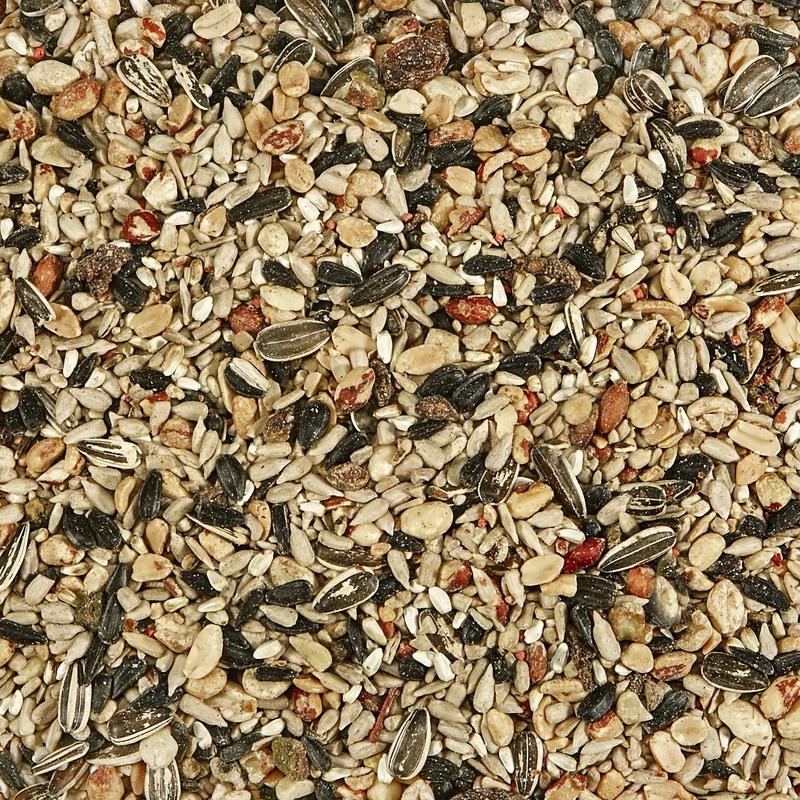 Kaytee Songbird Nut & Fruit Wild Bird Food 20 lb