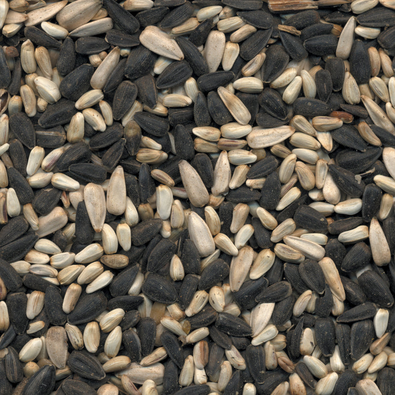 Kaytee Cardinal Black Oil Sunflower Seed Wild Bird Food 15 lb