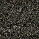 Ace Songbird Black Oil Sunflower Seed Wild Bird Food 5 lb