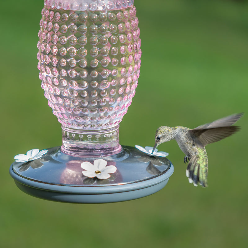 Perky-Pet Hummingbird 16 oz Glass/Metal Nectar Feeder 4 ports