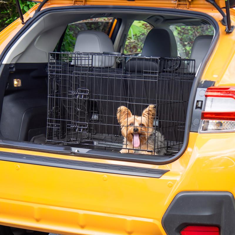 Pet Essentials Small Steel Dog Crate Black 20 in. H X 18 in. W X 24 in. D