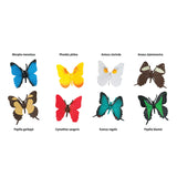 Safari Ltd. Toobs Butterflies Toy 8 pc