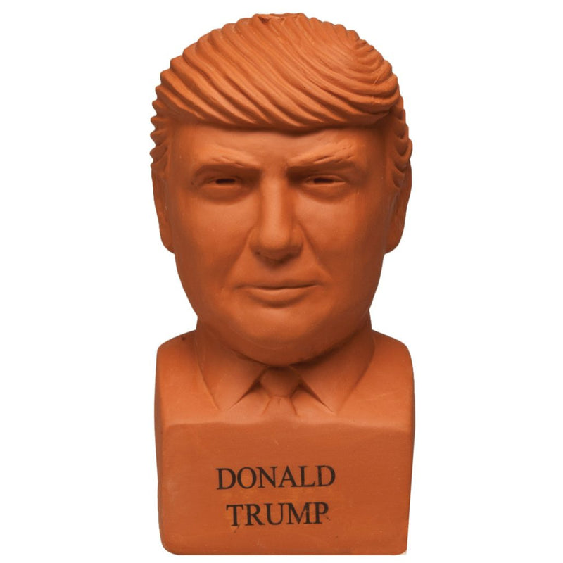 Chia Pet Freedom of Choice Donald Trump Decorative Planter Clay 1 pk