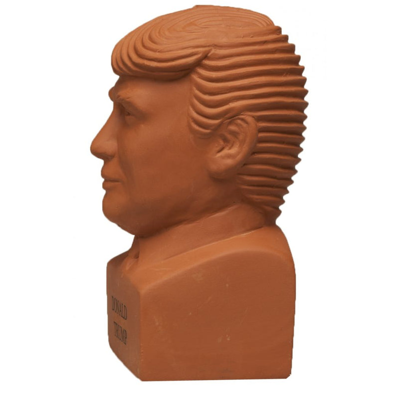 Chia Pet Freedom of Choice Donald Trump Decorative Planter Clay 1 pk