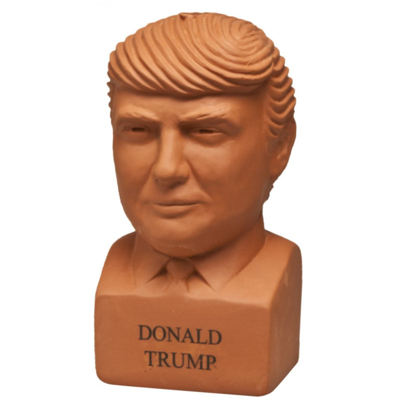 Chia Pet Freedom of Choice Donald Trump Decorative Planter Clay 1 pk