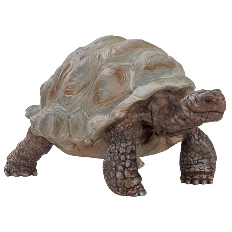 GIANT TORTOISE TOY 3-8Y