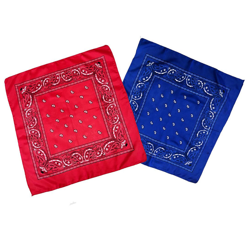 Starr Design Group Paisley Bandana Set Red and Blue
