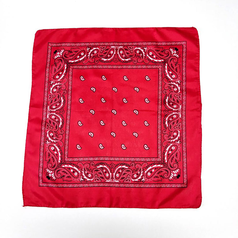 Starr Design Group Paisley Bandana Set Red and Blue