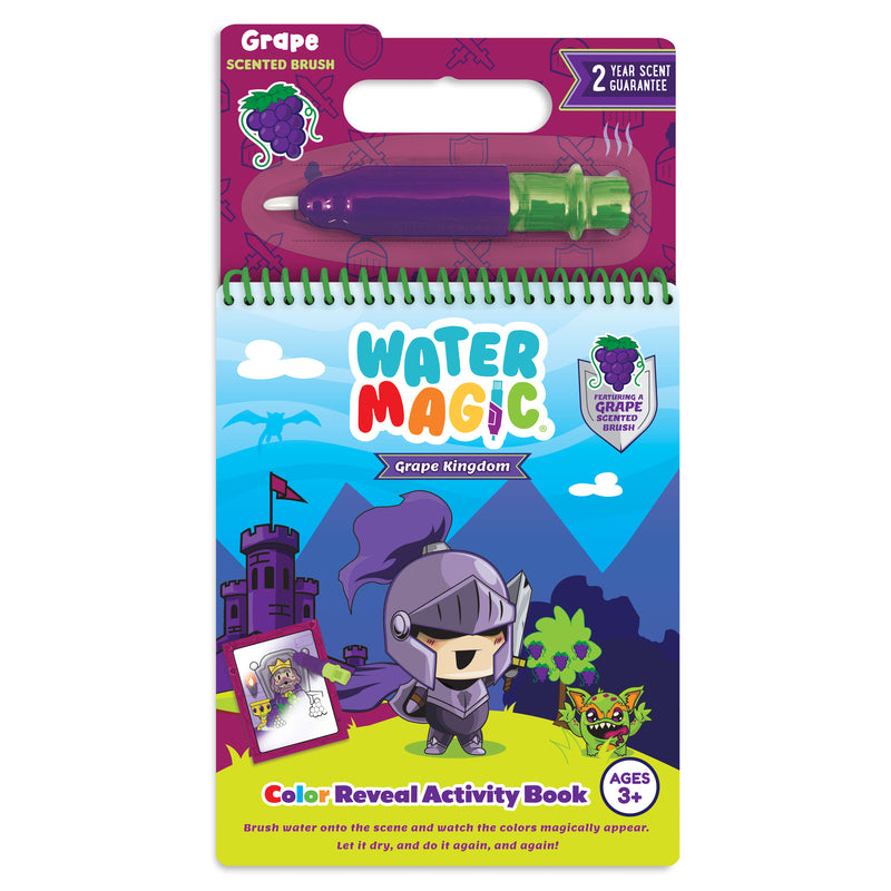 ACTIVITY BOOK GRAPE 11"