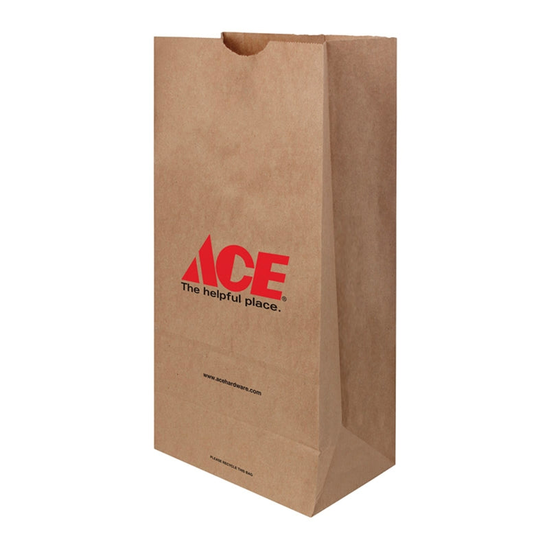 ACE PAPR BAG 400PK 10LB