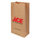 SHOP BAG PPR 500PK 10LB