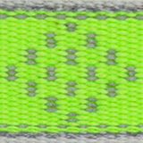 LupinePet Reflective Green Diamond Nylon Dog Leash