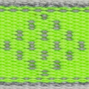 LupinePet Reflective Green Diamond Nylon Dog Leash